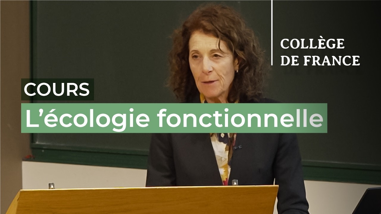 L'écologie fonctionnelle... (3) - Sandra Lavorel (2025-2026)