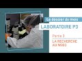 La recherche au sein du laboratoire NSB3 - Partie 3