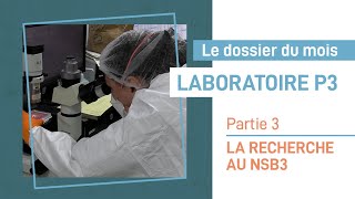 La recherche au sein du laboratoire NSB3 - Partie 3