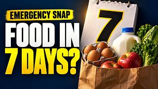 Can You Get SNAP in 7 Days Expedited Service Explained