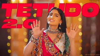 Tetudo 2.0 - 8D Audio Lofi Shades Gujarati