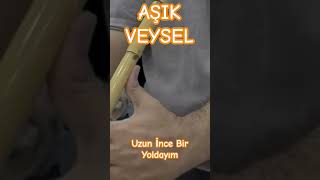 Aşık Veysel - Uzun İnce Bir Yoldayım Turkish Music for guitar and Ney arr. Gökhan Yalçın #shorts