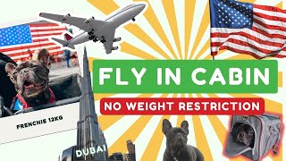 How to Fly With Dog In Cabin NO Weight Restriction! From High-Risk Rabies Country Dubai (UAE) to USA screenshot 1