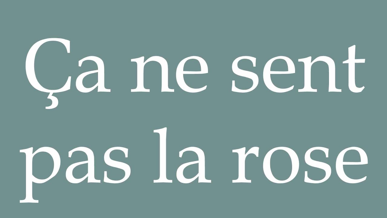 Sitemapcdatahttpshauscellcare1comca Ne Sent Pas La Rose 7 Lettresnull