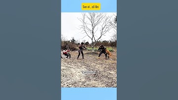 Sen ơi cố lên # vui cùng cún cưng