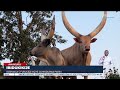 Ibyo wamenya ku Gishanga cy’Urugezi kigiye kugirwa pariki