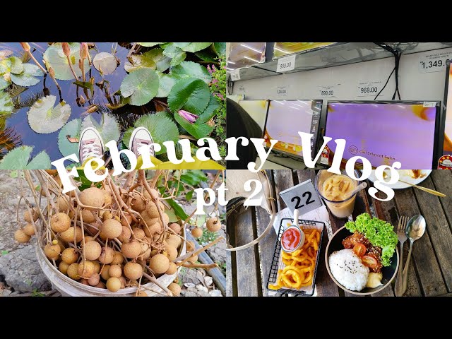 Feb Vlog, Petik Buah Longan, Demi Drama Pukul 7 Mak Beli TV Baru, class=