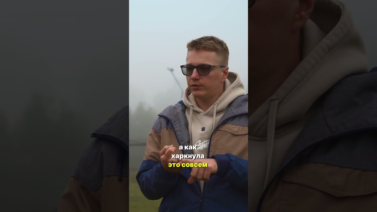 Альпака: милое создание с неожиданными сюрпризами! 🦙😂 Мы В Деле!