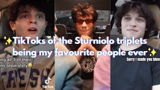 TikToks of the Sturniolo triplets being my favourite people ever