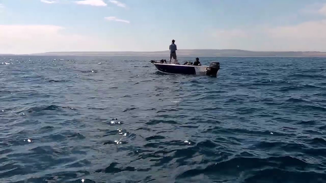 Portland North Shore Bluefin Tuna Fly Fishing