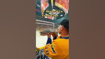 Thumbnail of Gotta see this in person 😳 🐟