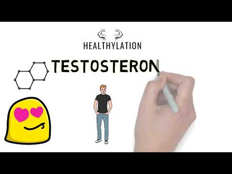 ERKEKLİK HORMONU TESTOSTERON VE ETKİLERİ