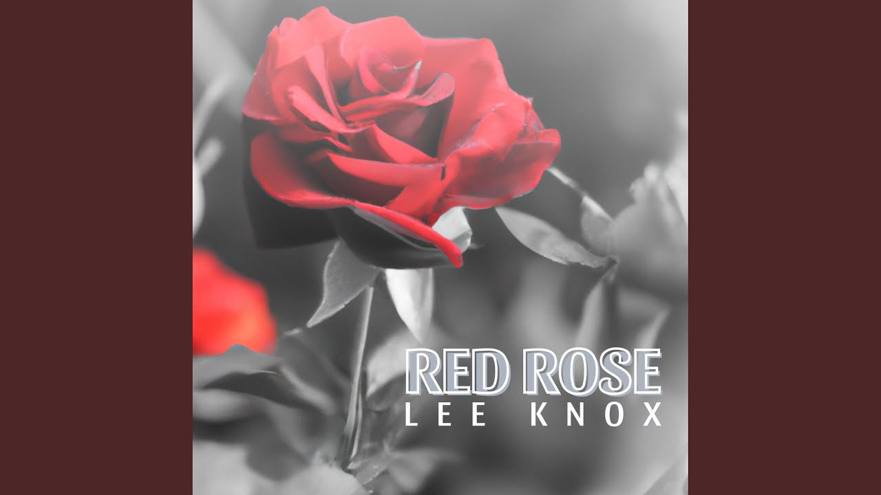 Watch Red Rose on YouTube Watch Red Rose on YouTube