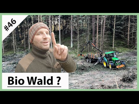 Video: Wie können wir Wälder nachhaltig bewirtschaften?