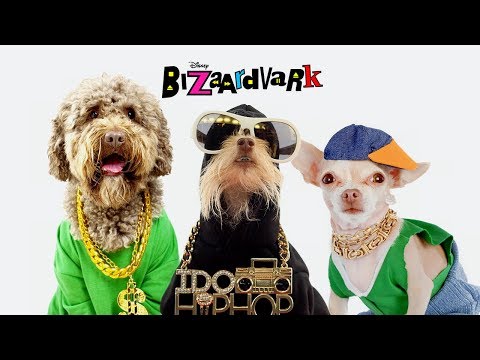 If I Had a Dog 🐶🎼 Music Video | Bizaardvark | Disney Channel