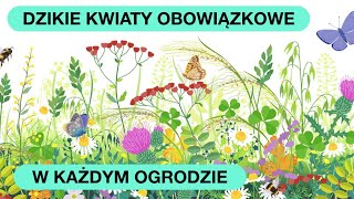 Mąż Sieje Dla Mnie Dzikie Kwiaty