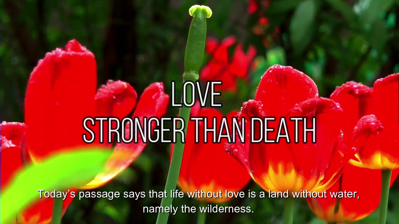 Love Is Stronger Than Death (Song of Songs 857) Mission