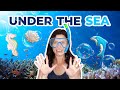 10 Under The Sea Decorated Cookies | Cookie Decorating Compilation