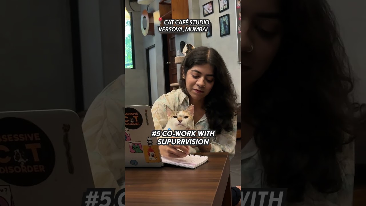 10 Things to do at Cat Café Studio!