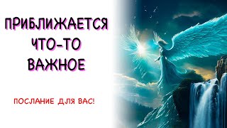 ☝️Приближается что-то важное ✨💌 У Архангела МИГЕЛЯ есть послание для вас