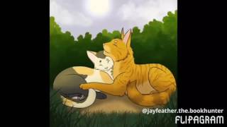 Warriors Brackenfur x Sorreltail- Lay me down