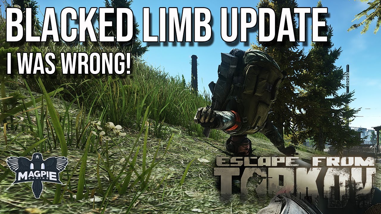 Blacked Limb Update *I was wrong* ESCAPE FROM TARKOV YouTube