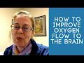 7 Tips On How To Improve Oxygen Flow To The Brain