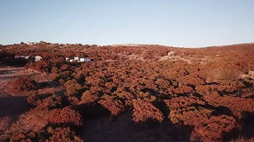 Copy of Mavic pro firmware v.01.04.0000 go4 v4.1.8 video quality test