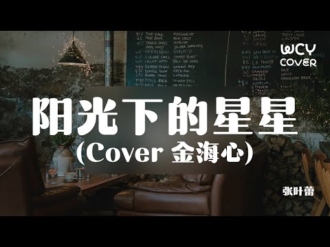 张叶蕾 - 阳光下的星星 (Cover 金海心) 「为何美的东西总叫人感伤」【動態歌詞/pīn yīn gē cí】