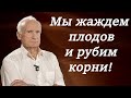 А.И.Осипов.Мы жаждем плодов и рубим корни!