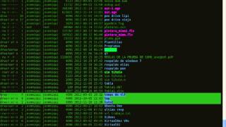 comandos basicos de linux tutorial 2