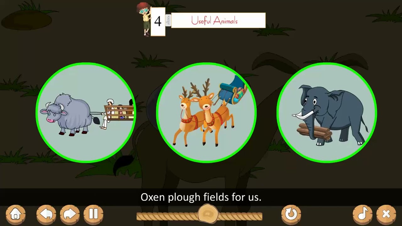 Ch 4 | Useful Animals | Science | Class 2 | For children