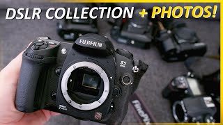 DSLRs in My Vintage Digital Camera Collection - (With Sample Photos)