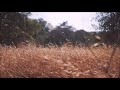 صلى عليك الله يا خير الورى