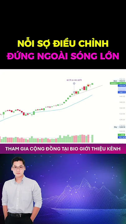 SAI LẦM KHIẾN NĐT ĐỨNG NGOÀI CUỘC CHƠI | ĐẦU TƯ CHỨNG KHOÁN | LÊ AN CƯỜNG CAPITAL