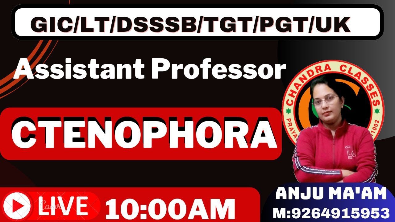 PHYLUM CTENOPHORA || UP,TGT,PGT,LT,GIC,DSSSB, || BY ANJU MAM