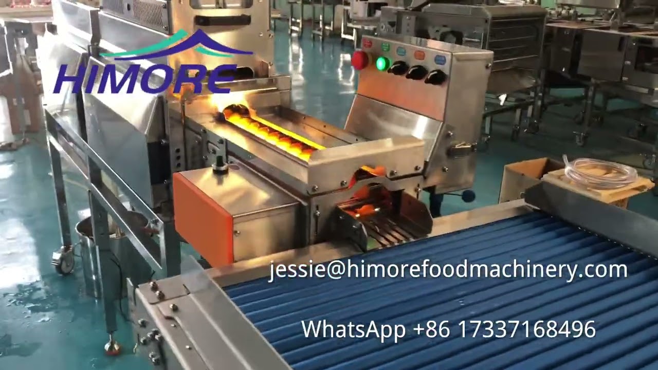 Automatic Eggs Washing and Drying Line