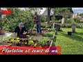 Plantation et semis  mai au potager