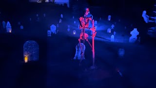 DIY Corpsed Skeleton