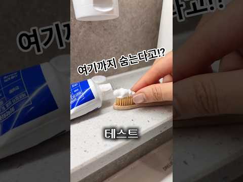 멧챠카멜레온 현실판 레전드 #멧챠카멜레온 #mecchachameleon #메챠카멜레온 #게임 #game