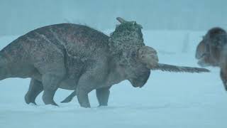 Pachyrhinosaurus Sounds