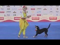 ЧМ по танцам с собаками - 2017, Германия. Финал.