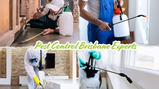 Conquer Termites Pest Control Brisbane South  #PestControlBrisbane, #BrisbaneTermites #PestControl