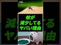 みなさんは最近蚊に刺されましたか？