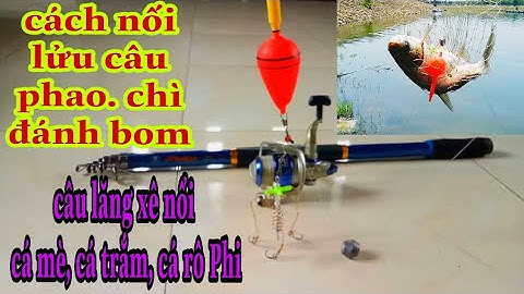 Cách nối lữu câu phao chì câu cá mè | Đánh bom cá mè.cá trắm . cá rô phi | Cách câu cá mè.