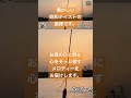 日常に、小さな癒しの贈り物