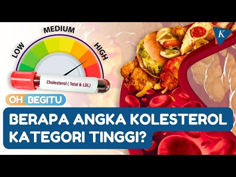 Standar Normal Kolesterol Pria
