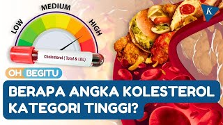 What is the High and Dangerous Cholesterol Level