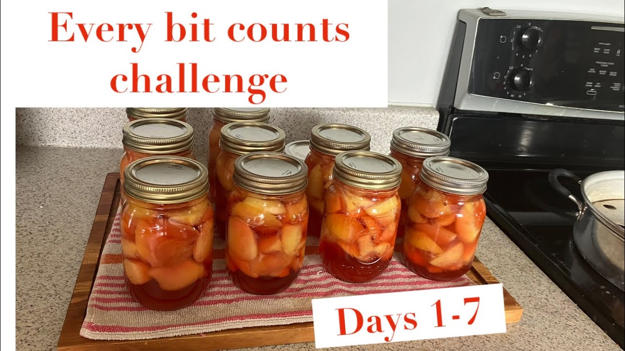 Preserving food Everyday August 2024 Week 1