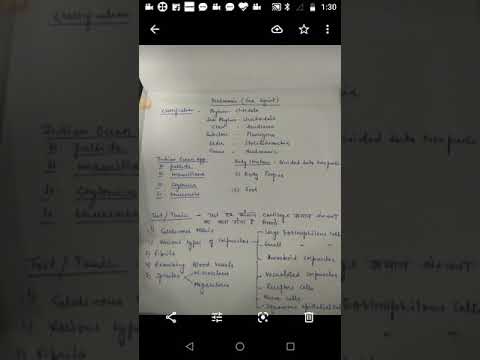 Herdmania (Introduction & Structure) - YouTube